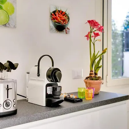 Luxury, Large Flat With Terrace On Vatican Walls 아파트 로마