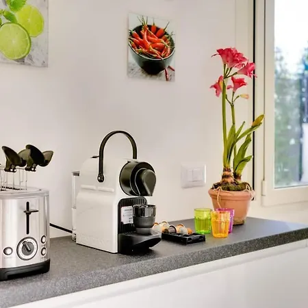 Luxury, Large Flat With Terrace On Vatican Walls